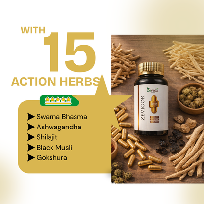 Zevigor Shilajit Gold™ – Men’s Energy & Performance Booster